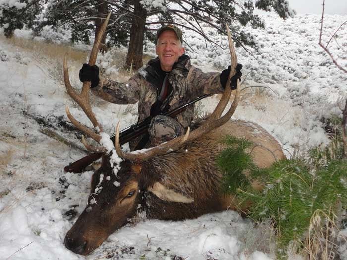 Elk Hunts Gallery Image
