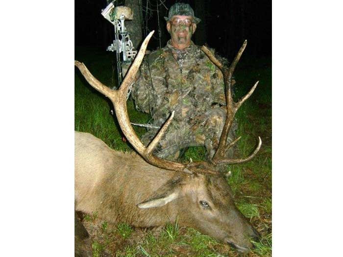 Elk Hunts Gallery Image