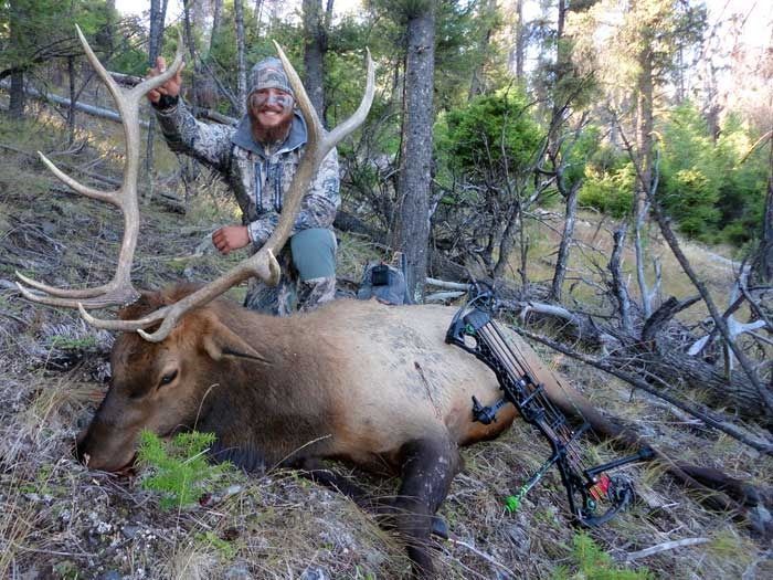 Elk Hunts Gallery Image