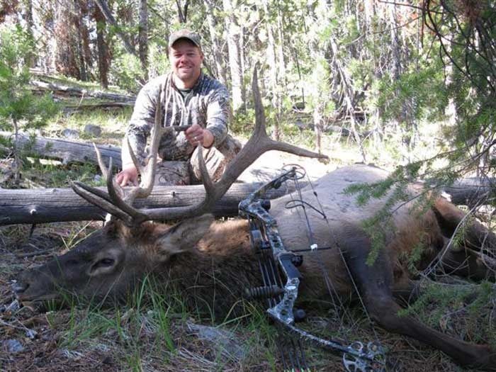 Elk Hunts Gallery Image