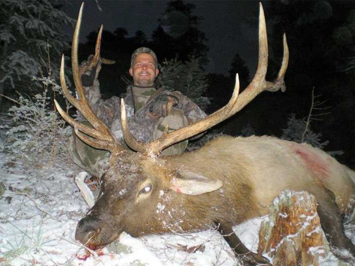 Elk Hunts Gallery Image