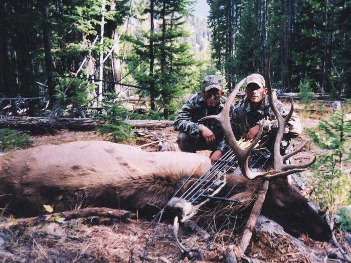 Elk Hunts Gallery Image