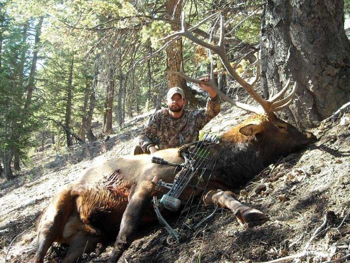 Elk Hunts Gallery Image