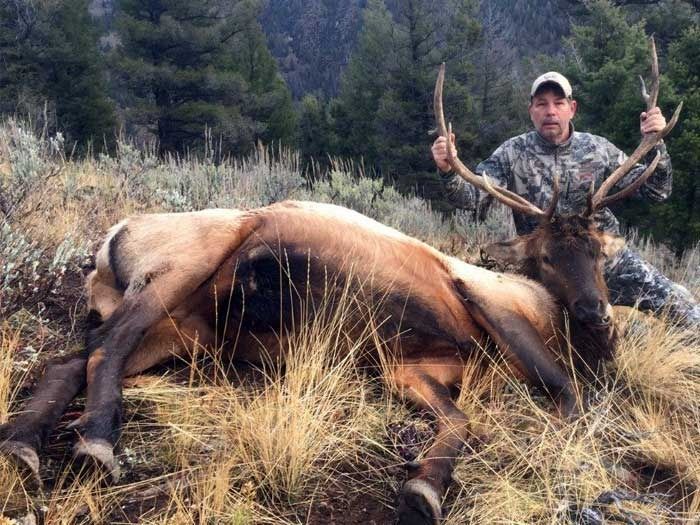 Elk Hunts Gallery Image