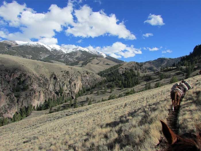 Elk Hunts Gallery Image
