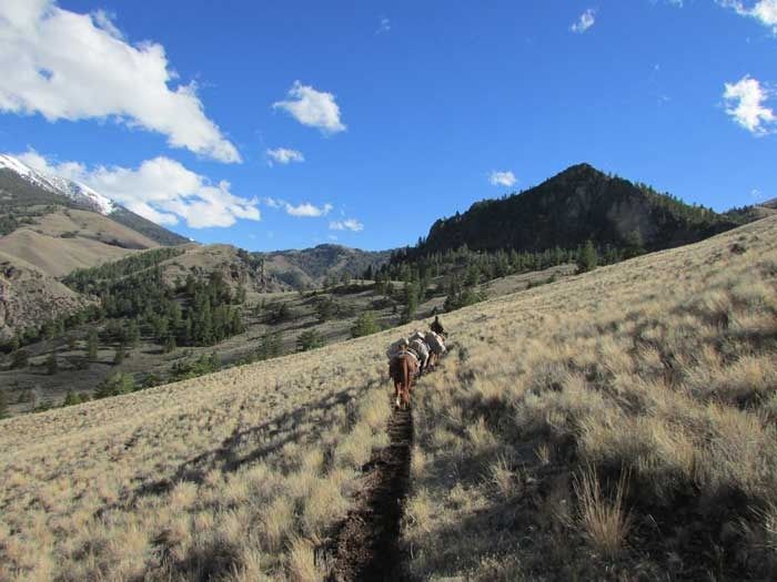 Elk Hunts Gallery Image