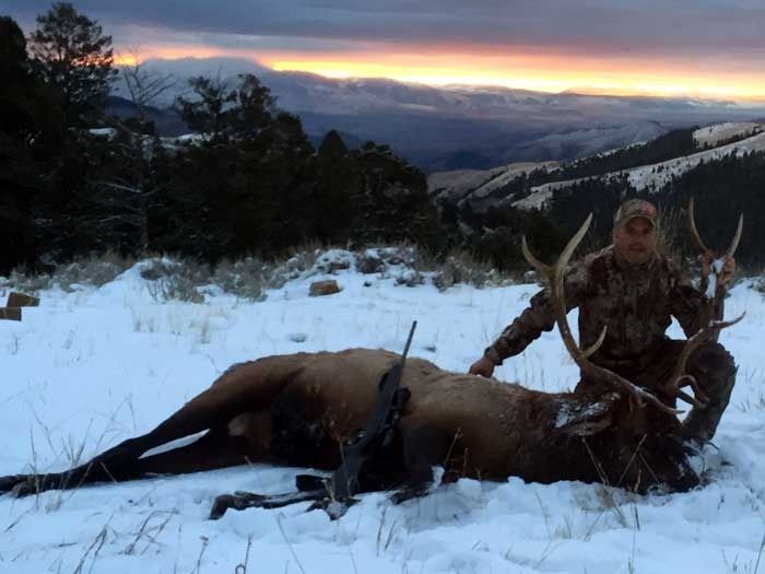 Elk Hunts Gallery Image