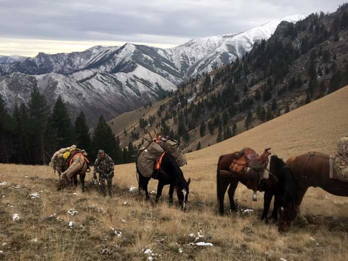 Elk Hunts Gallery Image