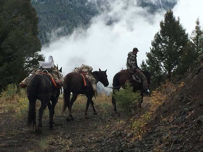Elk Hunts Gallery Image