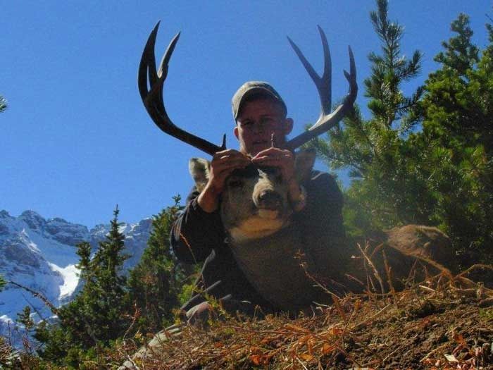 Elk Hunts Gallery Image
