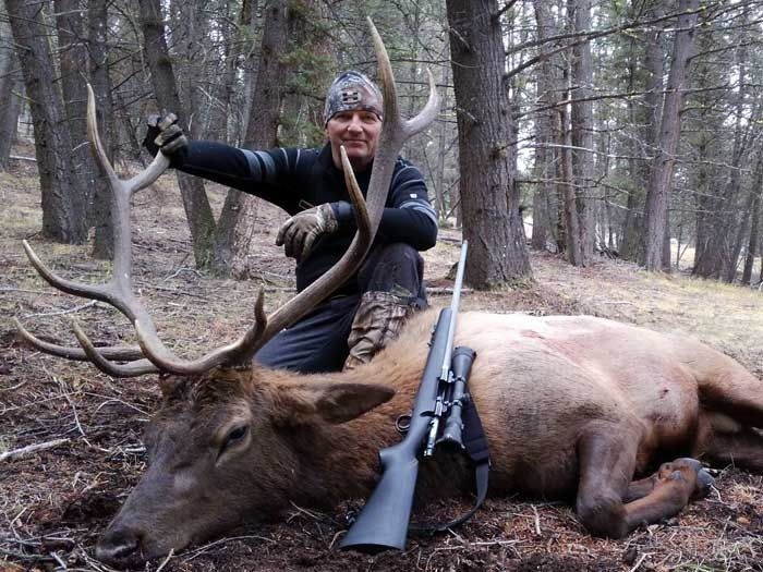 Elk Hunts Gallery Image