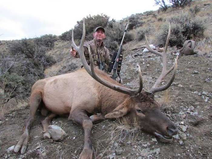 Elk Hunts Gallery Image