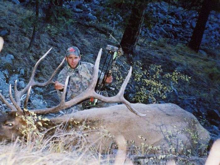 Elk Hunts Gallery Image