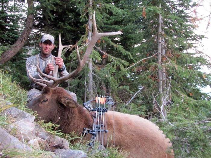 Elk Hunts Gallery Image