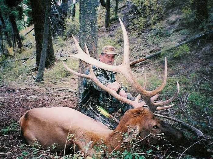 Elk Hunts Gallery Image