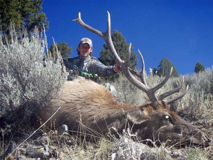 Elk Hunts Gallery Image
