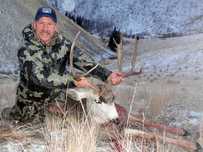 Elk Hunts Gallery Image