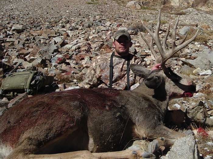 Elk Hunts Gallery Image