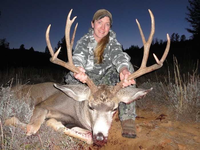 Elk Hunts Gallery Image