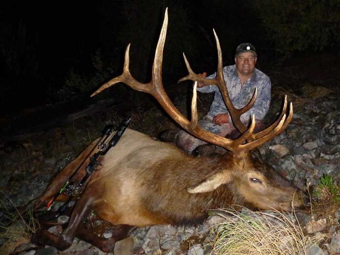 Elk Hunts Gallery Image