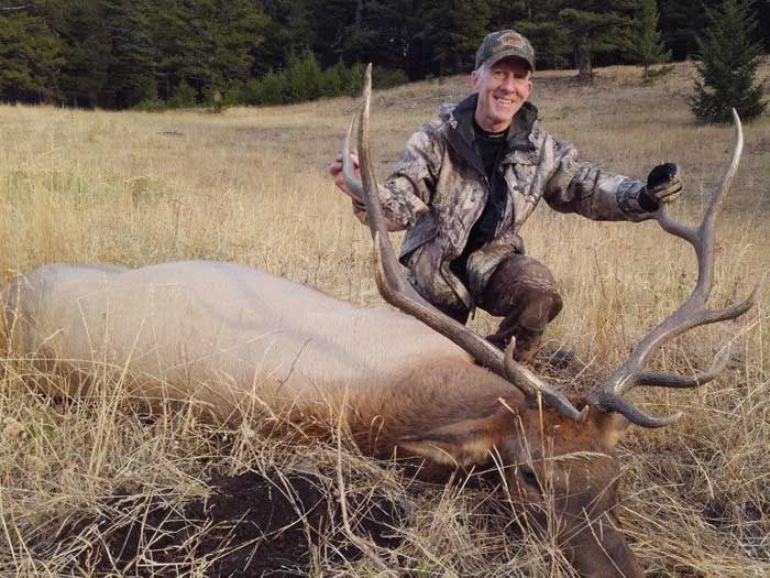 Elk Hunts Gallery Image