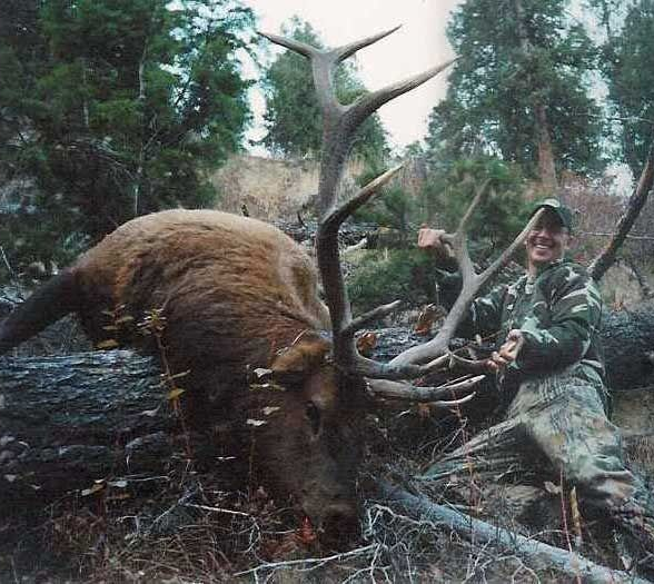 Elk Hunts Gallery Image