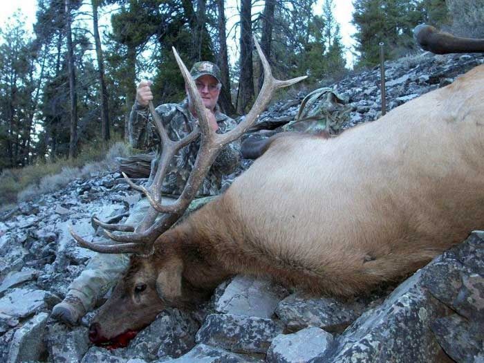 Elk Hunts Gallery Image