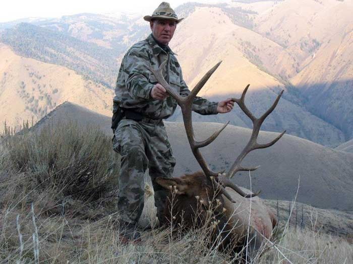 Elk Hunts Gallery Image