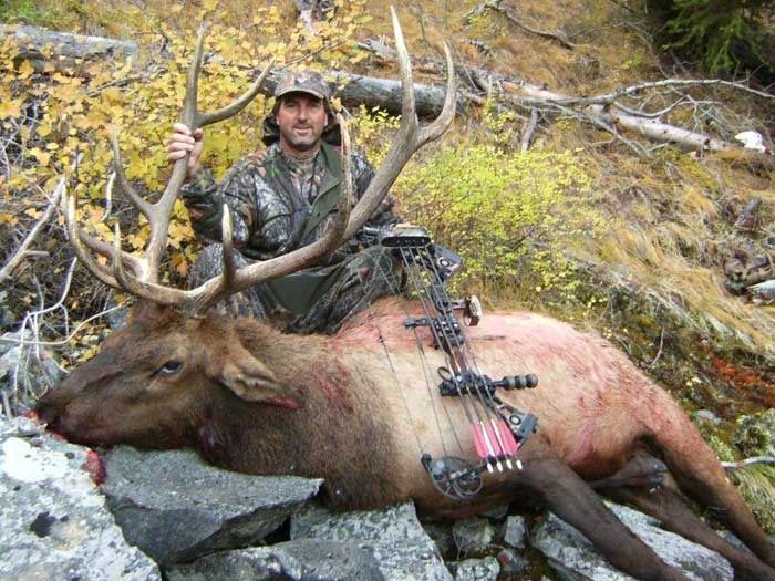 Elk Hunts Gallery Image