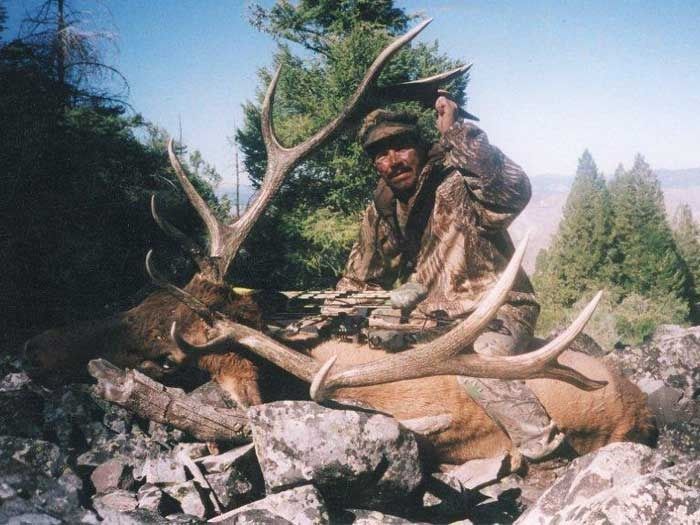Elk Hunts Gallery Image