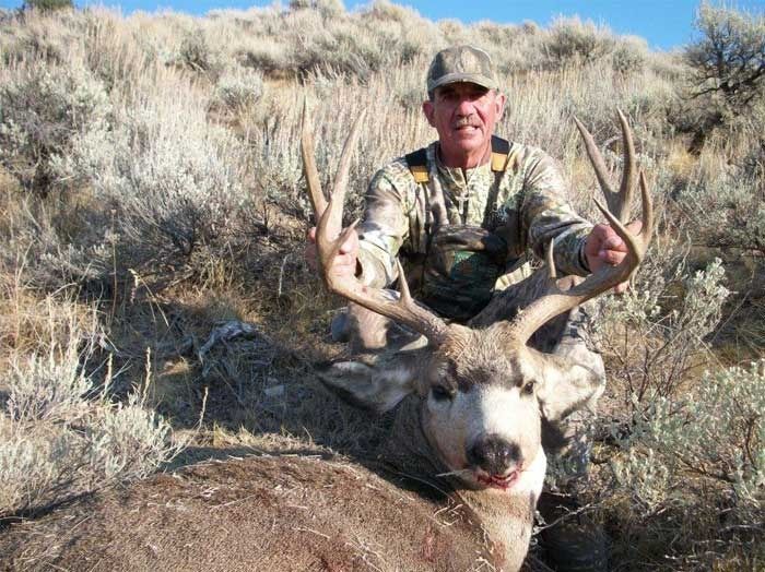Elk Hunts Gallery Image