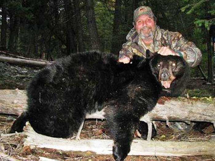 Bear Hunts Gallery Image