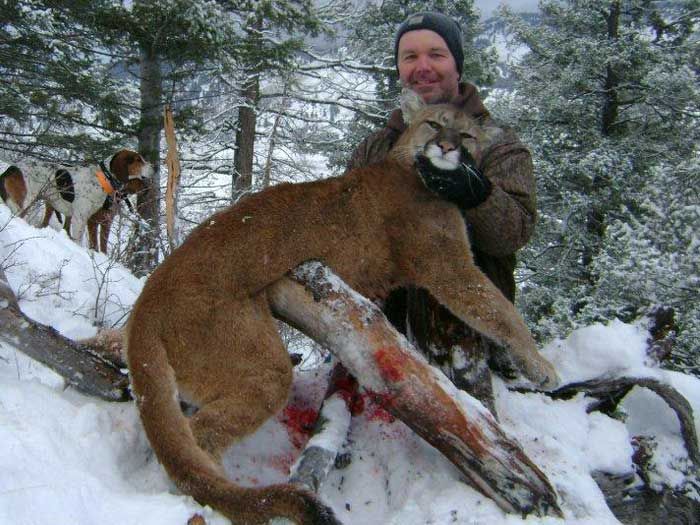 Lion Hunts Gallery Image