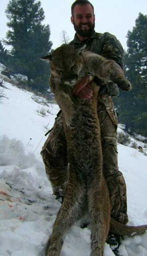 Lion Hunts Gallery Image