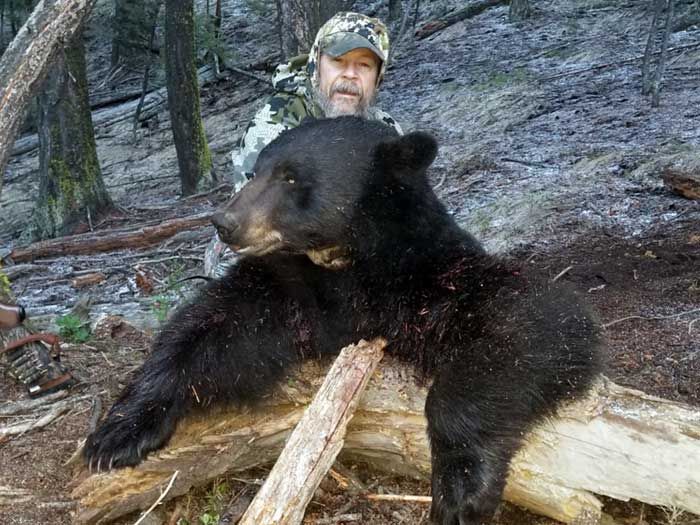 Bear Hunts Gallery Image