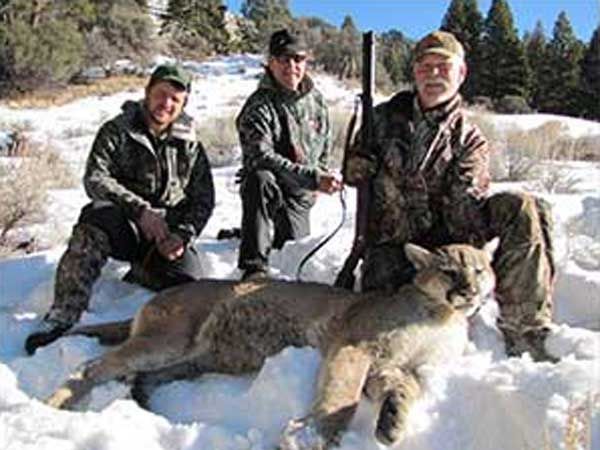 Lion Hunts Gallery Image