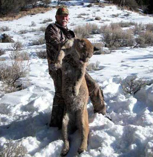 Lion Hunts Gallery Image