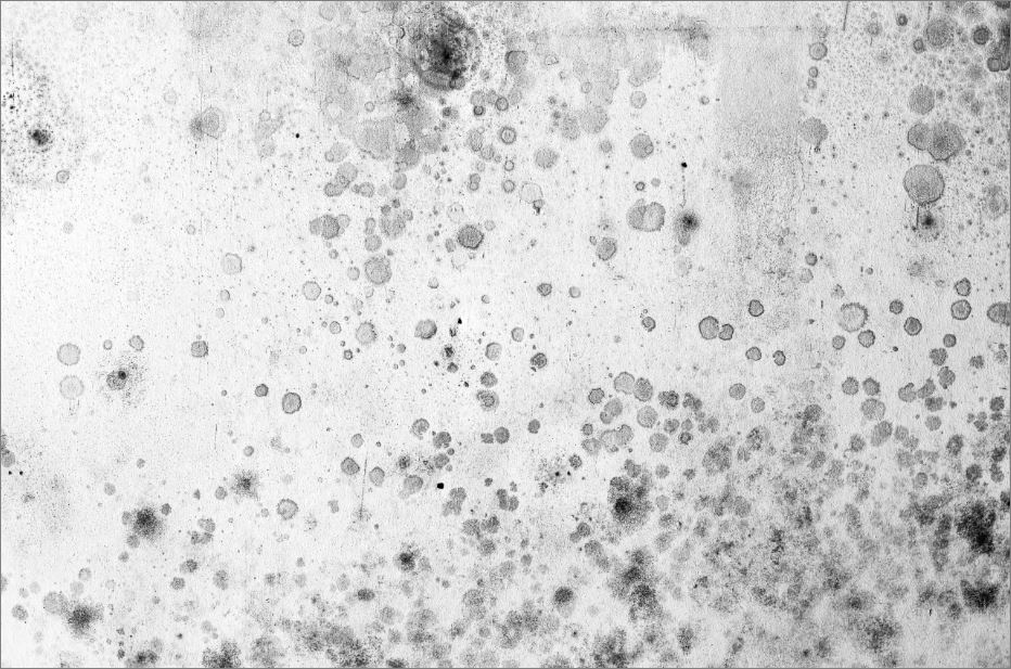 Dampness