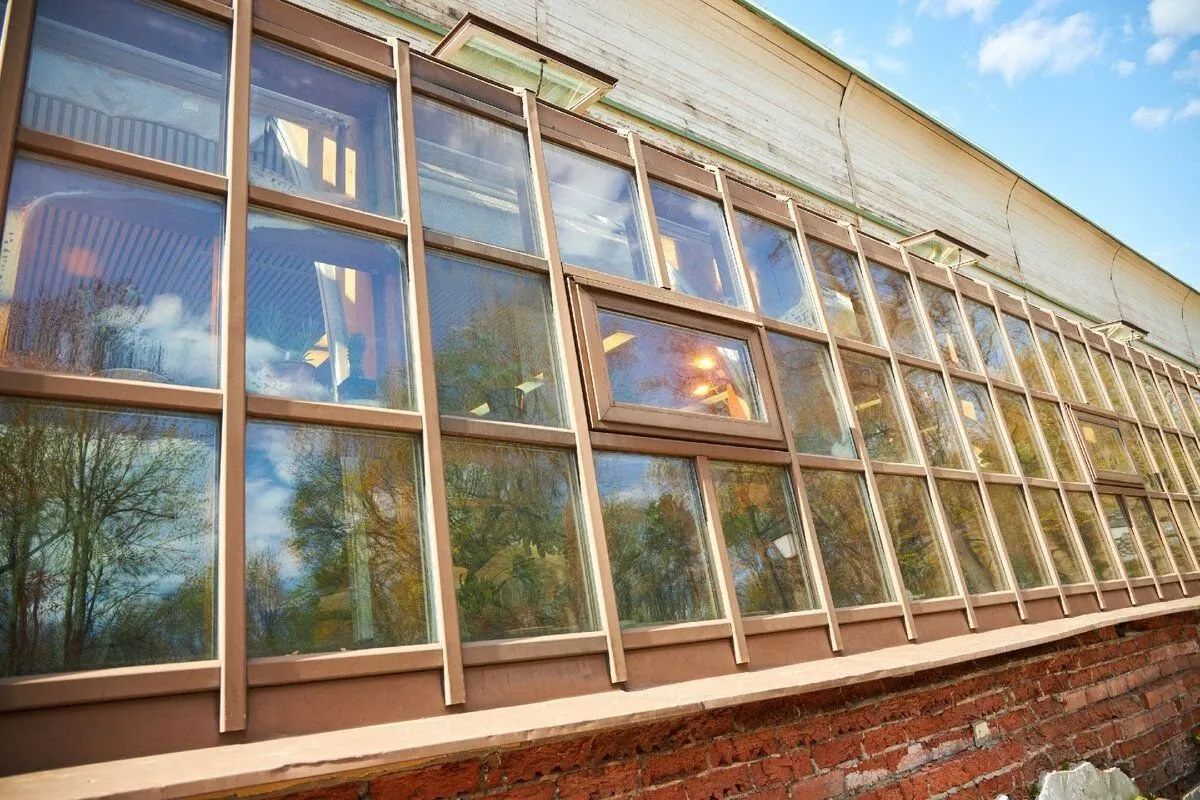 Dilapidated building with damaged windows reflecting the surrounding trees