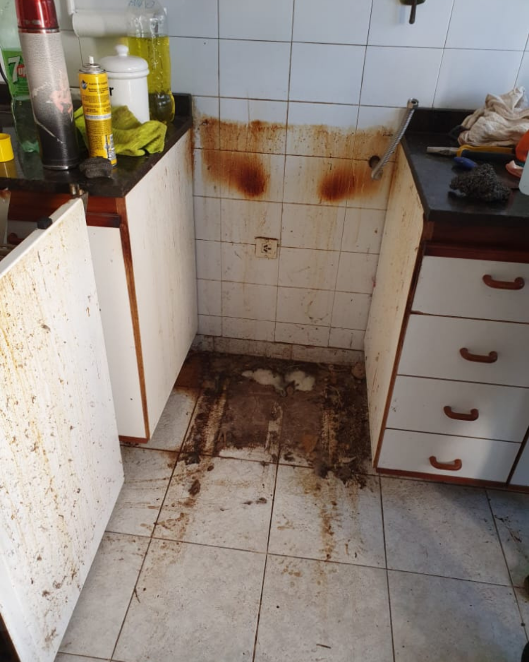 Gabinetes de cocina con paredes y piso manchados, lo que indica daño por agua y suciedad.