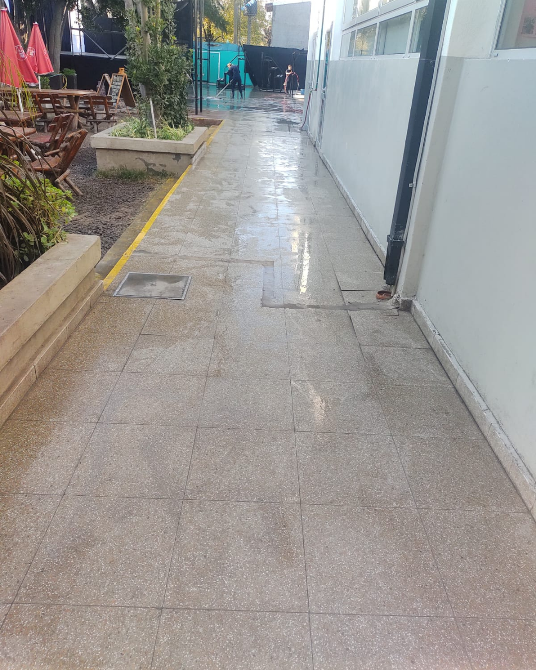 Un camino de baldosas mojadas junto a una pared blanca. Plantas verdes y un arriate elevado a la izquierda.