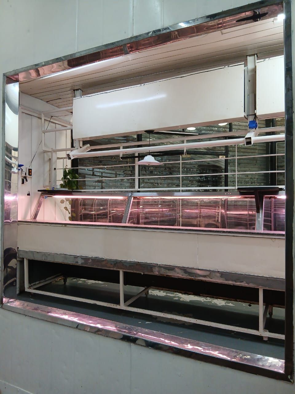 Vitrina refrigerada vacía con estantes de cristal e iluminación rosa en una tienda.