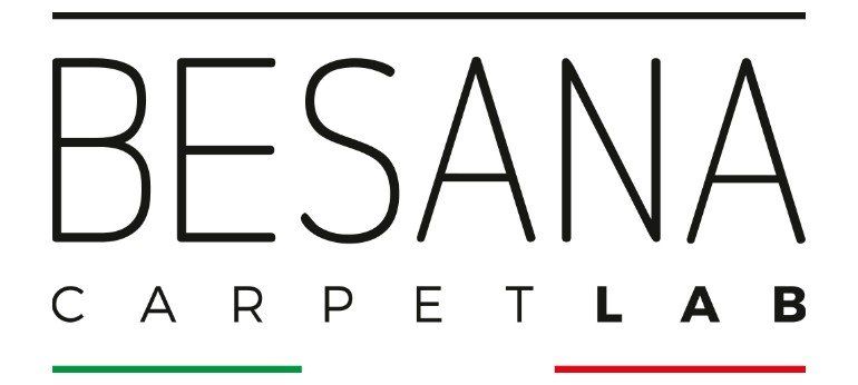 Logo besana