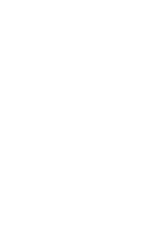 The Vue Logo - Footer