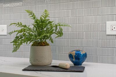 A potted plant is sitting on a counter next to a vase.