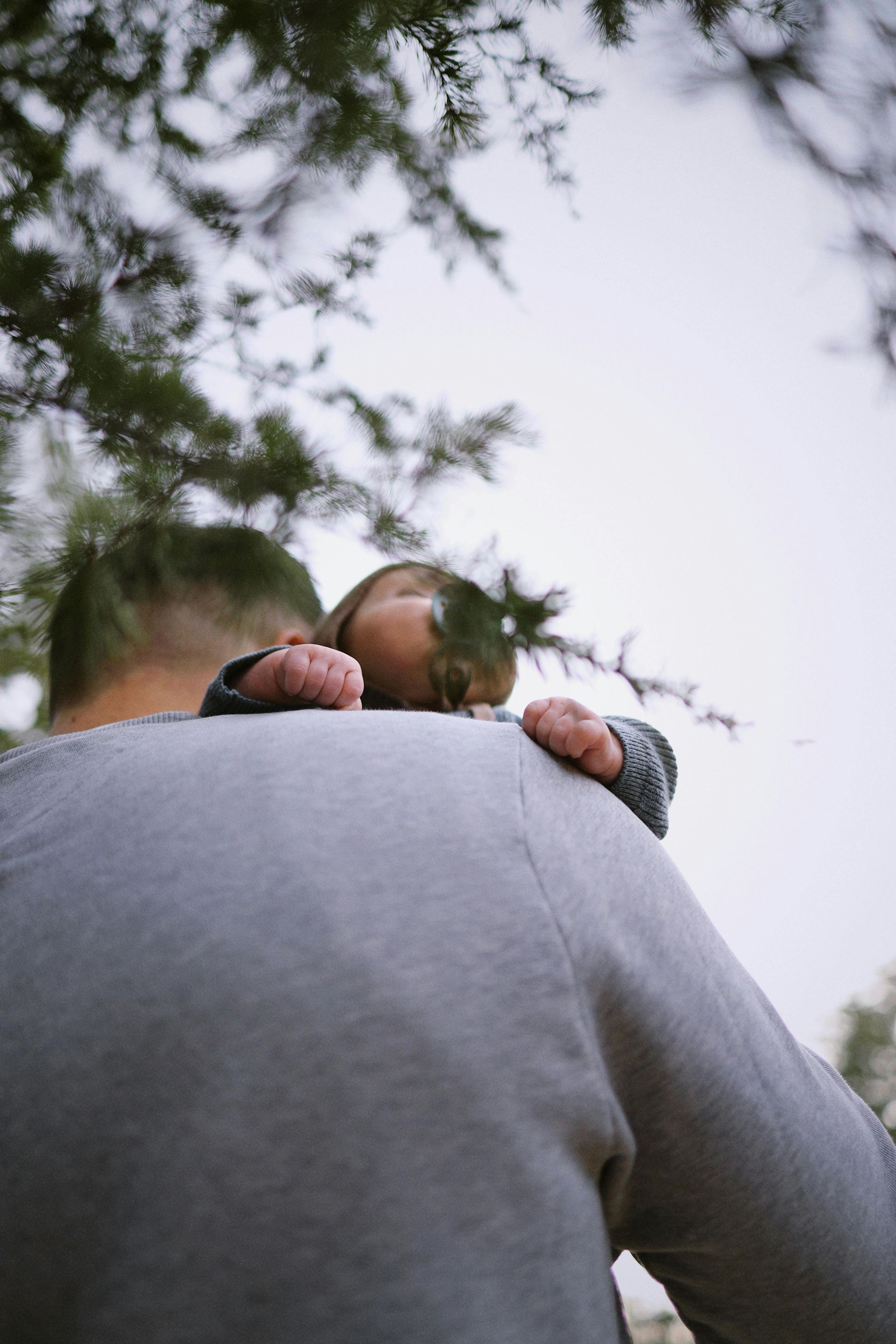 Adult carrying a small child on their shoulders outdoors, seen from behind with trees in the background