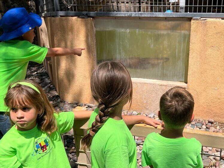 A group of children in green shirts are looking at a fish tank.