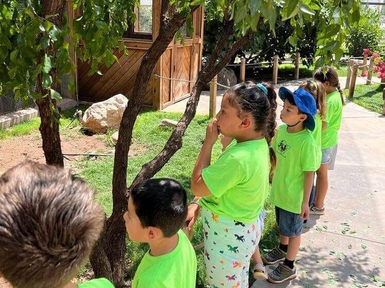 A group of children in green shirts are looking at a tree.