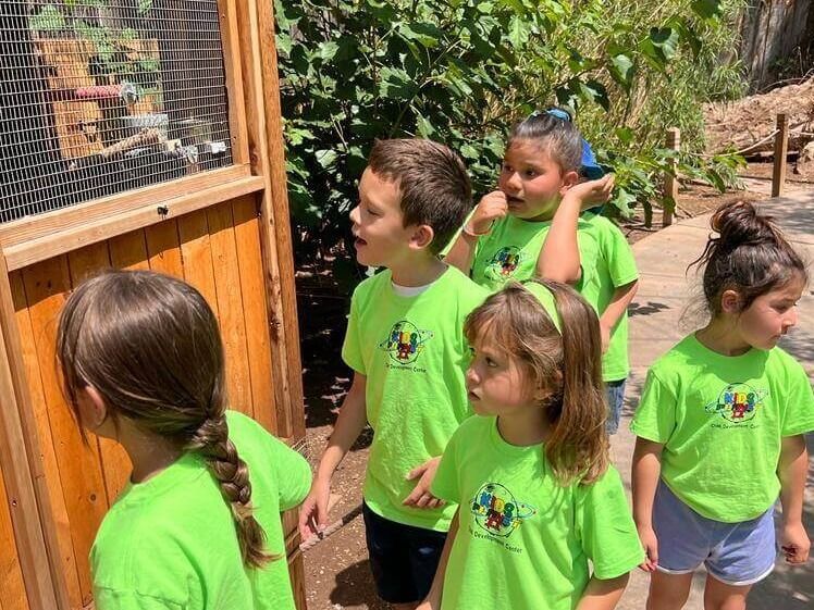 A group of children in green shirts are standing in front of a chicken coop.