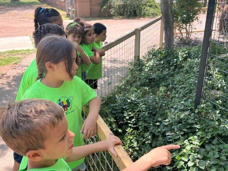 A group of children in green shirts are looking at a plant.